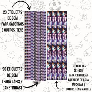 Kit 129 Etiquetas Escolares em Bopp Adesivo Vinil 32x45 Colorido  Recortado 